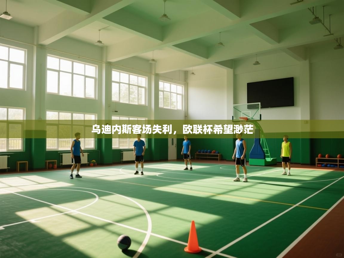 乌迪内斯客场失利，欧联杯希望渺茫  第1张