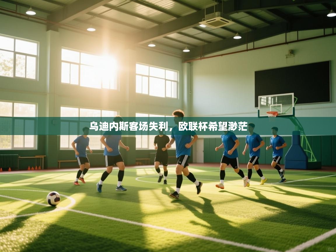 乌迪内斯客场失利，欧联杯希望渺茫  第2张