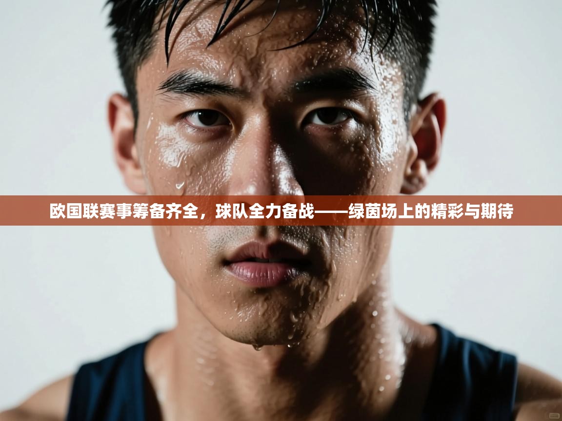 欧国联赛事筹备齐全,球队全力备战——绿茵场上的精彩与期待 第1张