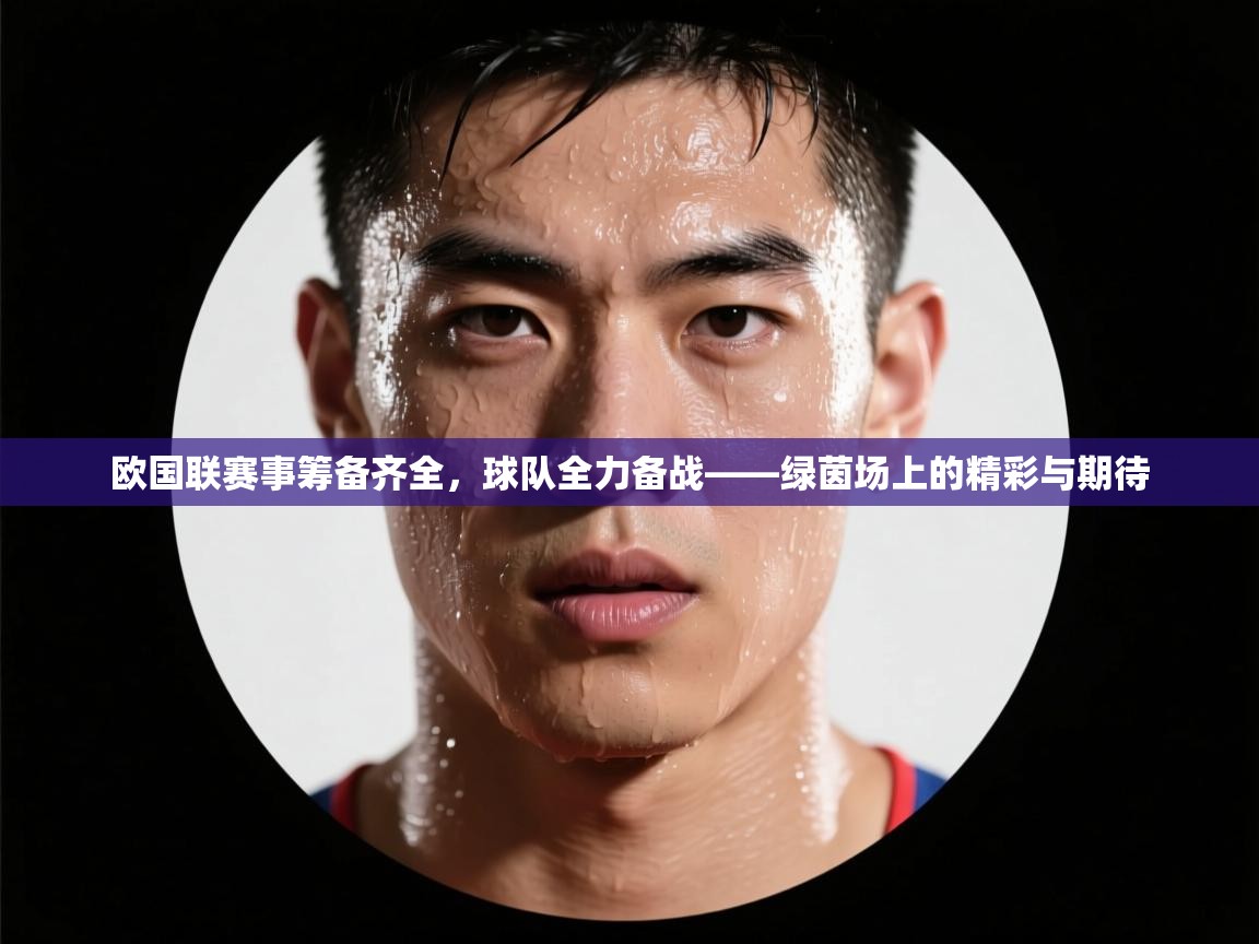 欧国联赛事筹备齐全,球队全力备战——绿茵场上的精彩与期待 第2张