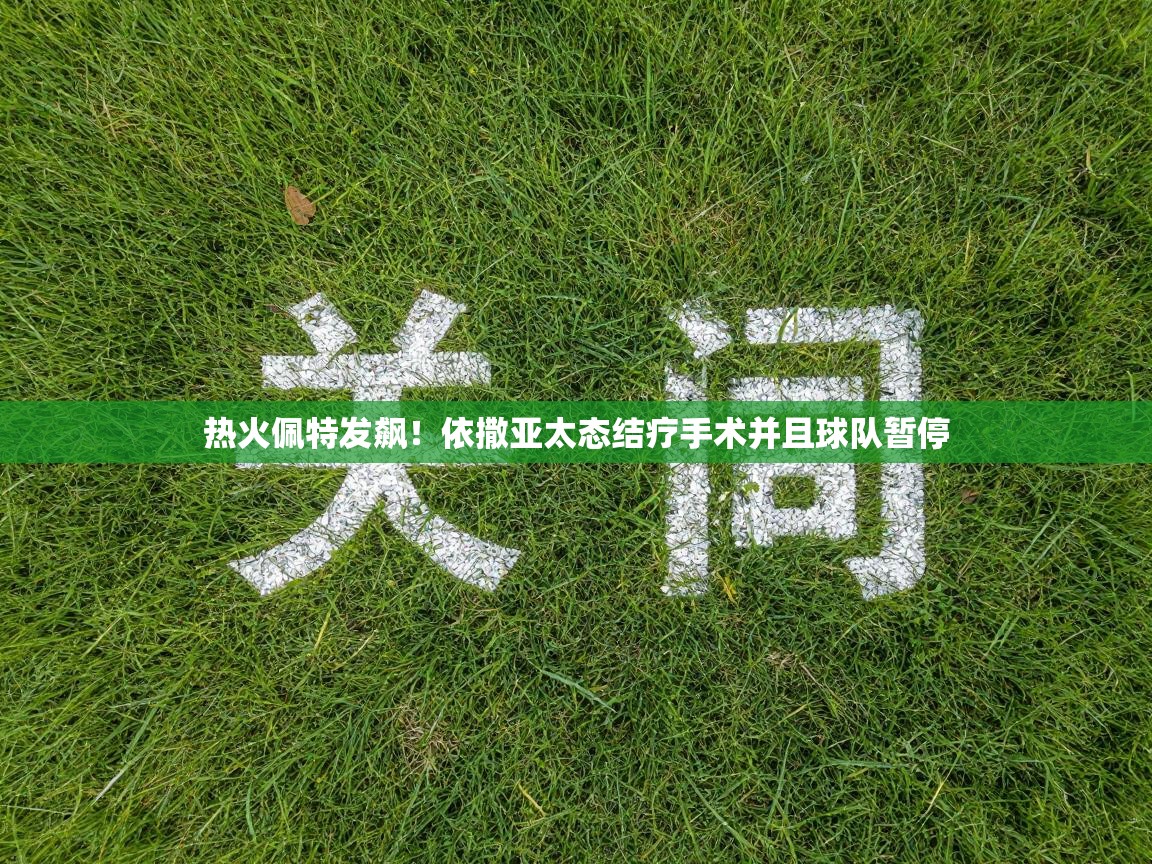 热火佩特发飙!依撒亚太态结疗手术并且球队暂停 第1张