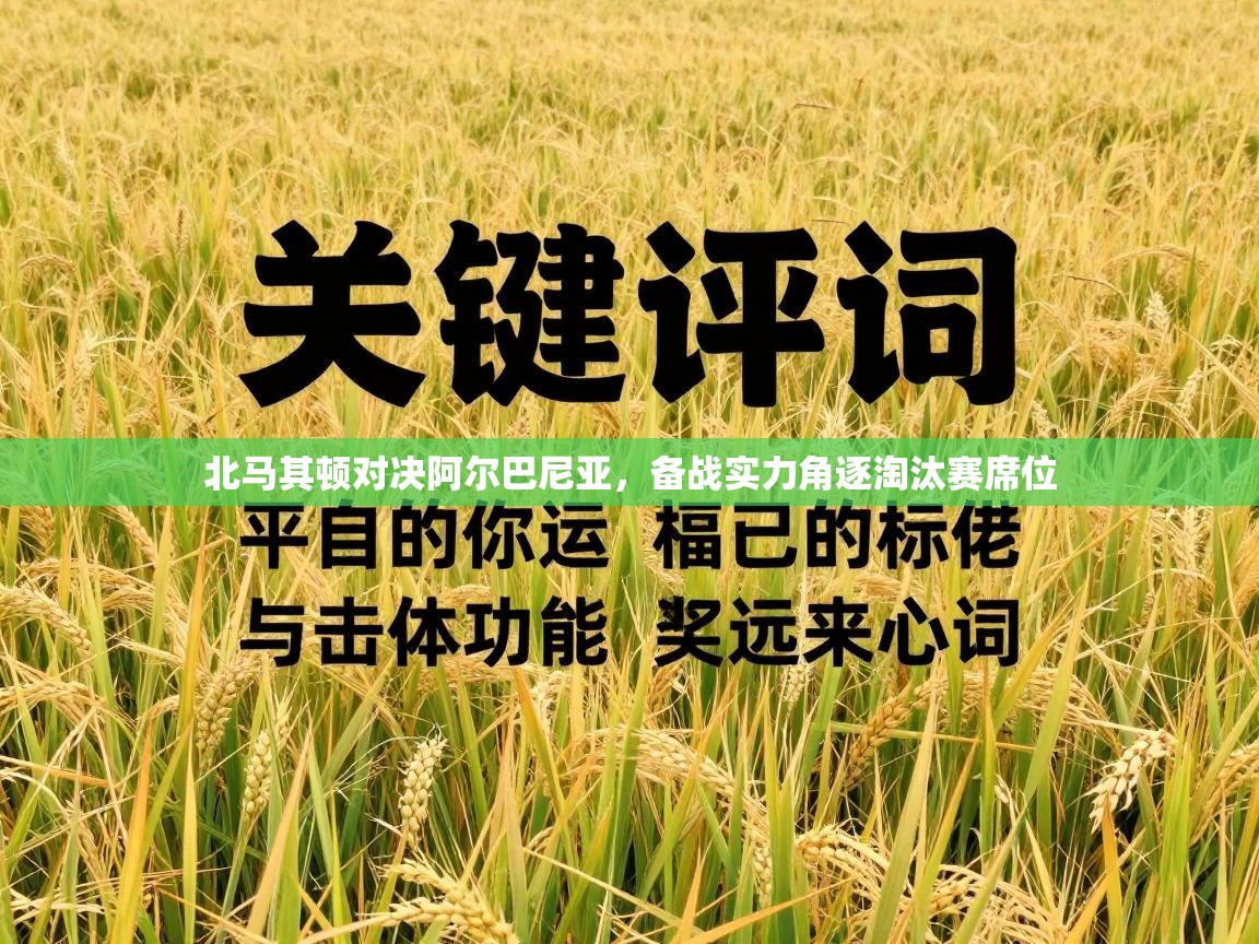 北马其顿对决阿尔巴尼亚,备战实力角逐淘汰赛席位 第2张